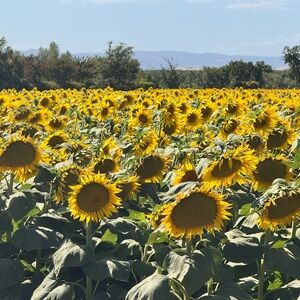 Helpful Pricing Info About my Closet